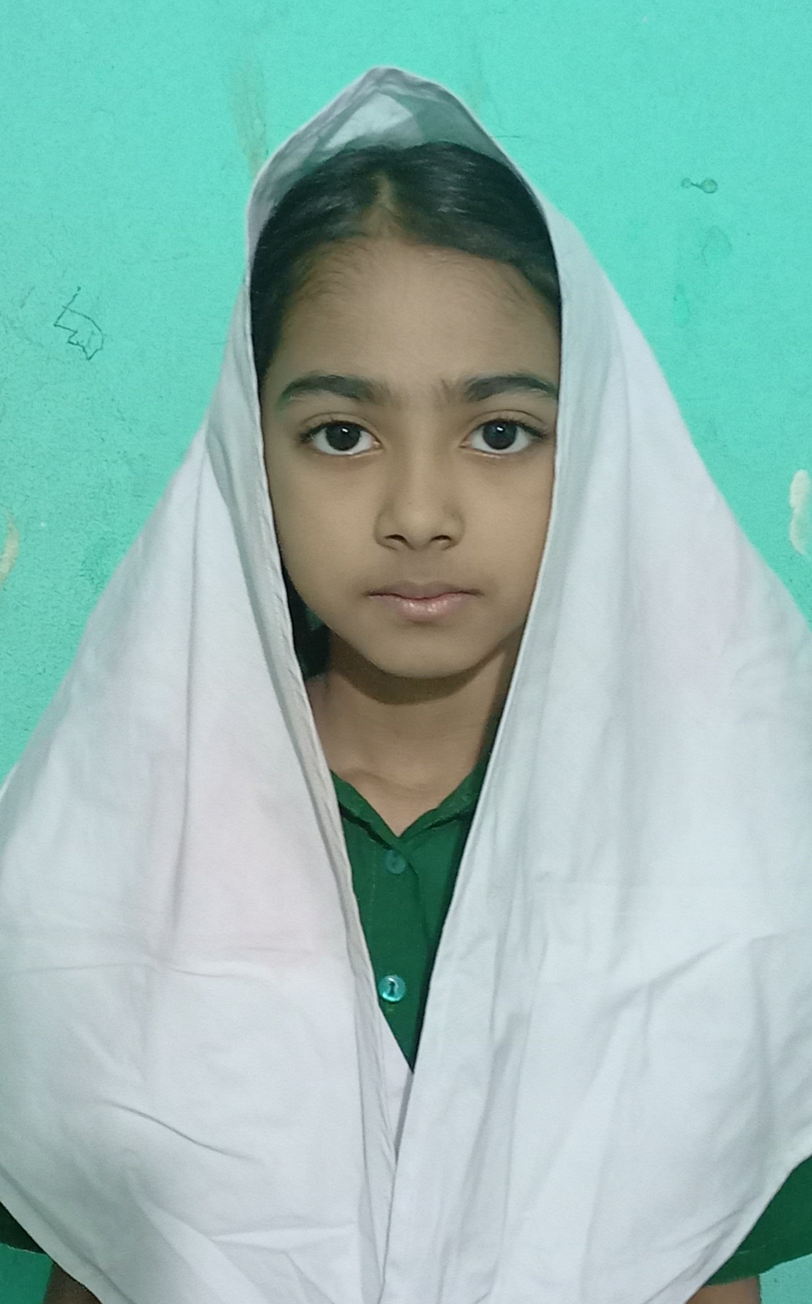 Ayesha Humaira Faijun